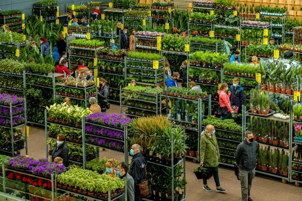 Wiosna w Czasoprzestrzeni we Wrocławiu - największy targ roślin doniczkowych w Polsce